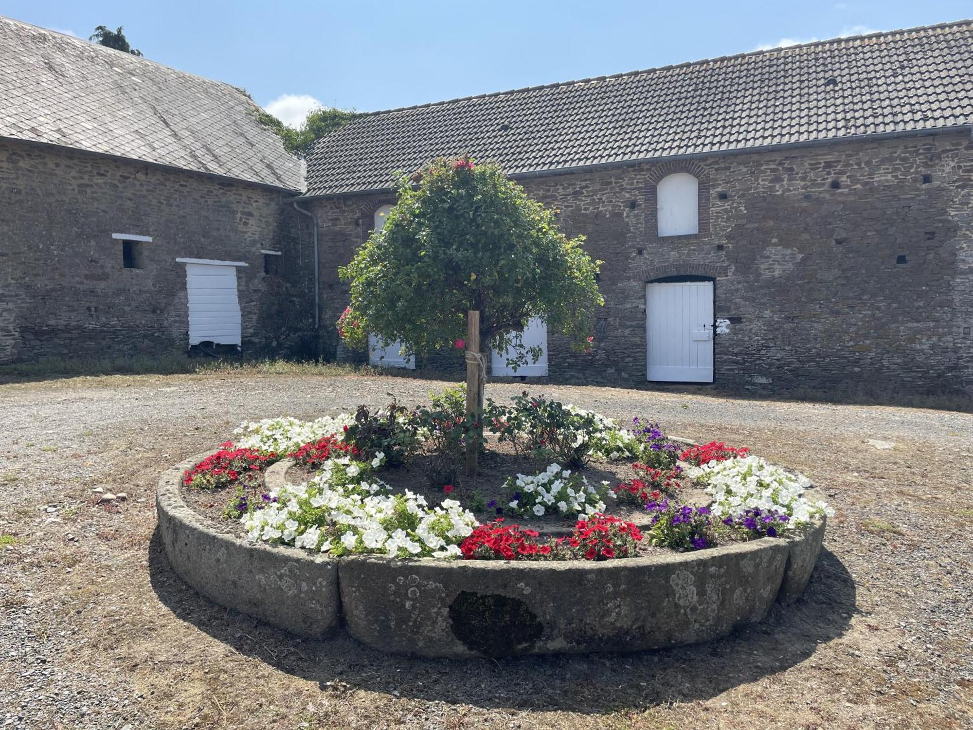 B&B Chambres D'Hotes Ferme Mahyas Saint-Jean-de-Savigny Esterno foto
